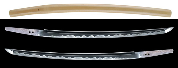 脇差 津田越前守助廣 (WA-010802)｜刀・日本刀の販売なら日本刀専門店 