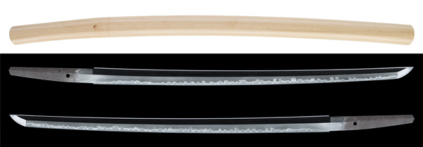 脇差 伯耆守藤原汎隆 越前住 特別保存刀剣鑑定書 業物の販売